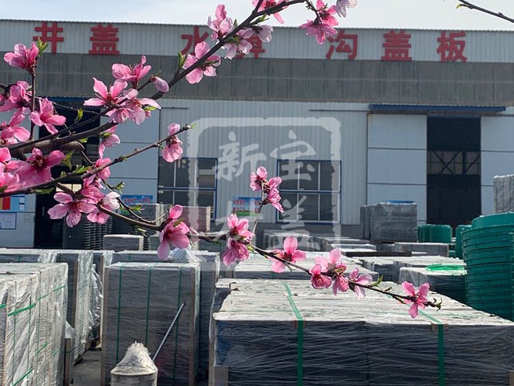 春意盎然